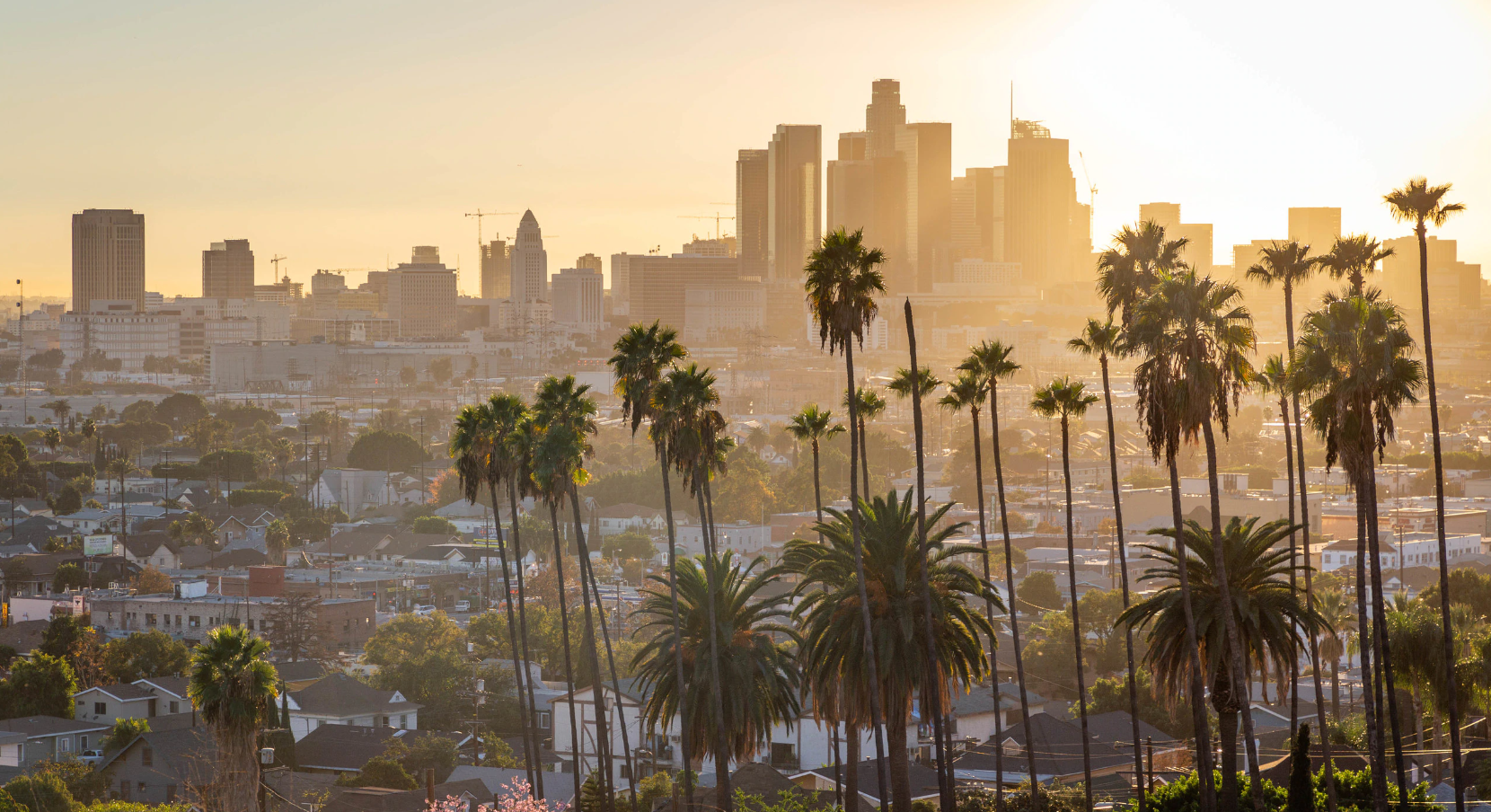 WOW! Direct flights from Edmonton to beautiful Los Angeles for only 126 CAD round-trip