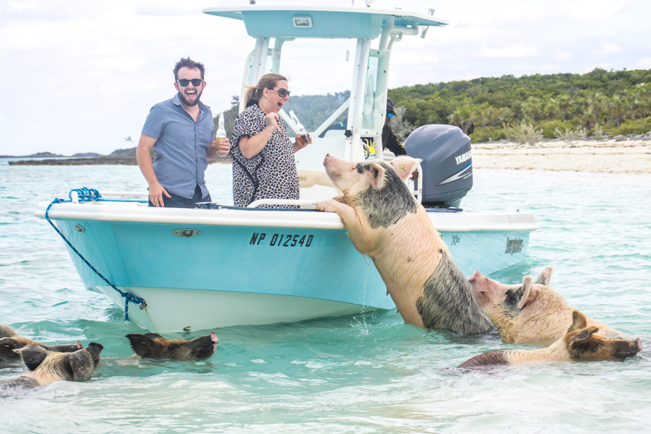 pig island tour from miami