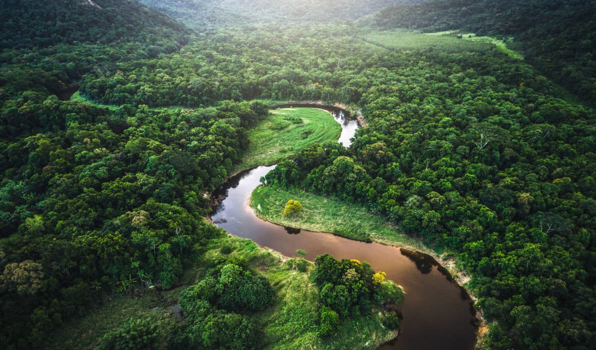 Peru: Adventures and wildlife in the Amazon